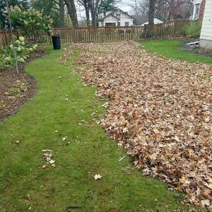fall-clean-up-1-640w
