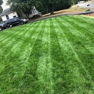 eeb4f482-a430-512b-92f4-d22379e10f34