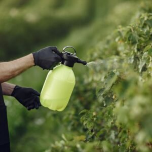 farmer-spraying-vegetables-garden-with-herbicides-man-black-apron-min-scaled.jpg