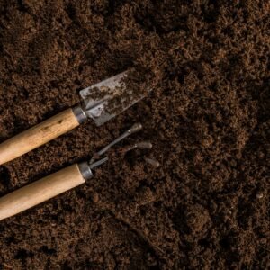 flat-lay-gardening-composition-with-copyspace