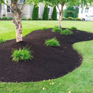 mulch